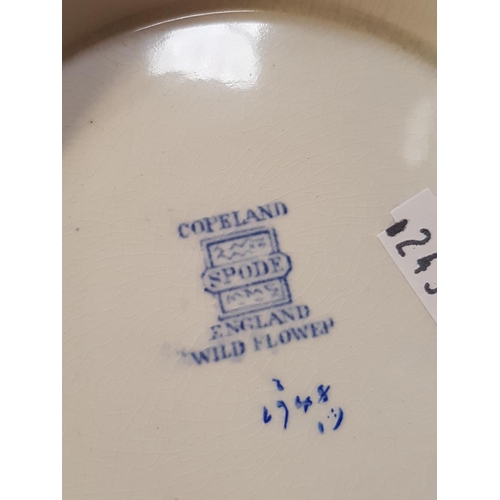 318 - Copeland Spode Blue & White 