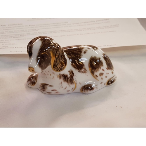 418 - Boxed Members Pack Royal Crown Derby Puppy Paperweight Exclusive for Royal Crown Derby Collectors Gu... 