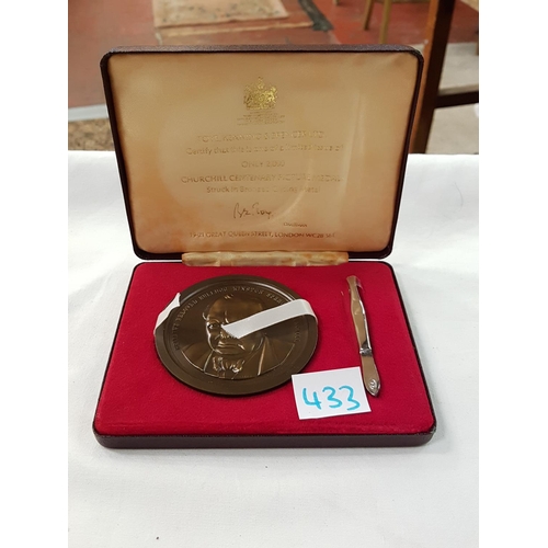 433 - Cased Limited Edition Churchill Centenary Bronze Gilding Metal Picture Medals.