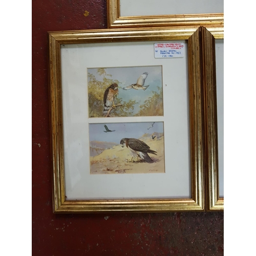 465 - Three Framed Bird Scene Ornithological Study Prints - Two by Allan Brooks & One George E Lodge.