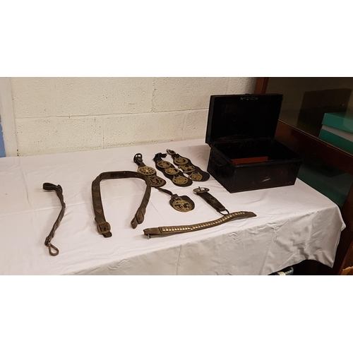 3 - Vintage Metal Cash Tin & Contents Including Horse Brasses & Leather Straps.