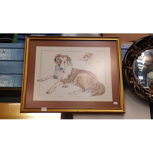 481 - Framed & Glazed Pencil Sketch 