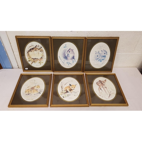 489 - Set of Six Framed & Glazed Animal Prints by John Evans.