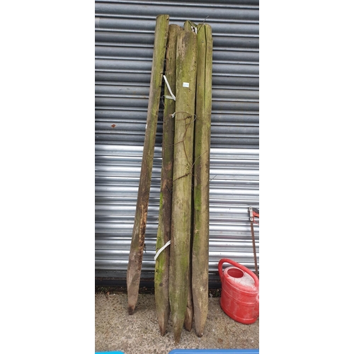 659 - Five Wooden Fence Posts approx 1.7m long.