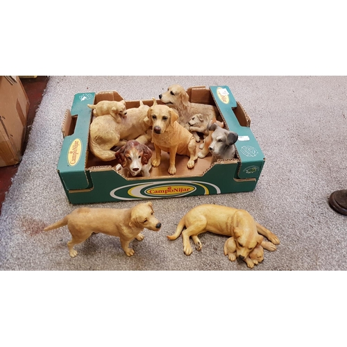 84 - Box of Labrador Figures Including Royal Osborne, Sylvac etc.