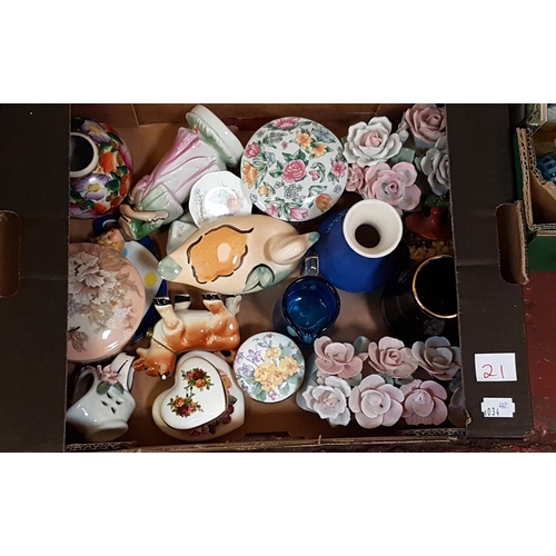 Lot 21        