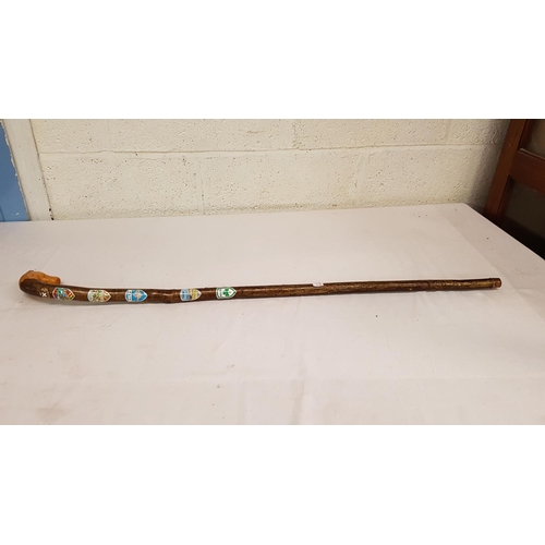 Lot 225       