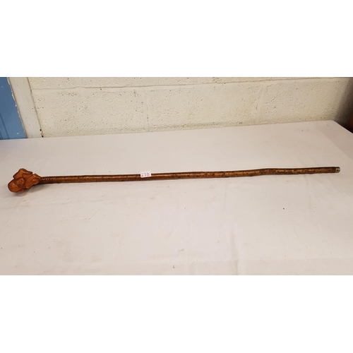 Lot 236       