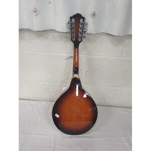 Eight String "Countryman" Electric Mandolin.