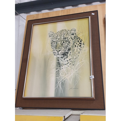 Framed 