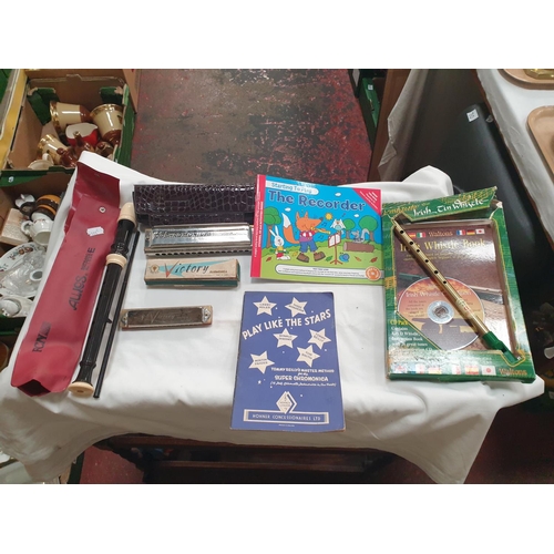 Lot 24        