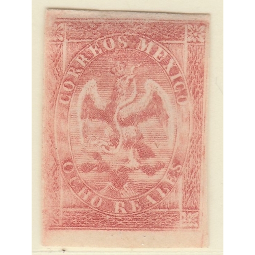 Lot 555       