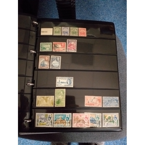 128 - World collection in 2 large 4 ring binders.  Mint/used issues on Hagners/lighthouse/vario plastic st... 