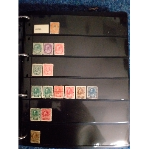 128 - World collection in 2 large 4 ring binders.  Mint/used issues on Hagners/lighthouse/vario plastic st... 