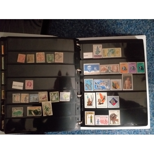 128 - World collection in 2 large 4 ring binders.  Mint/used issues on Hagners/lighthouse/vario plastic st... 