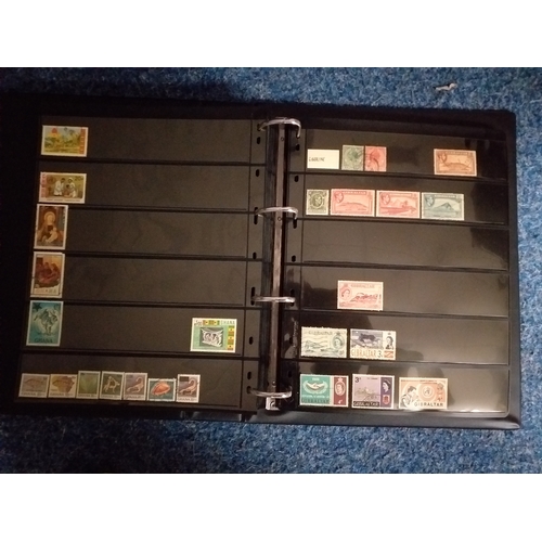 128 - World collection in 2 large 4 ring binders.  Mint/used issues on Hagners/lighthouse/vario plastic st... 