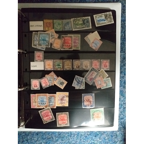 128 - World collection in 2 large 4 ring binders.  Mint/used issues on Hagners/lighthouse/vario plastic st... 