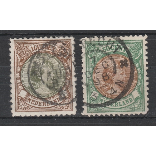 Lot 557       