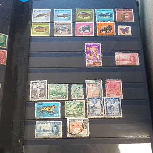 37 - Glory box of world collections in albums and stock books (6 good stock books), Large Citation stamp ... 