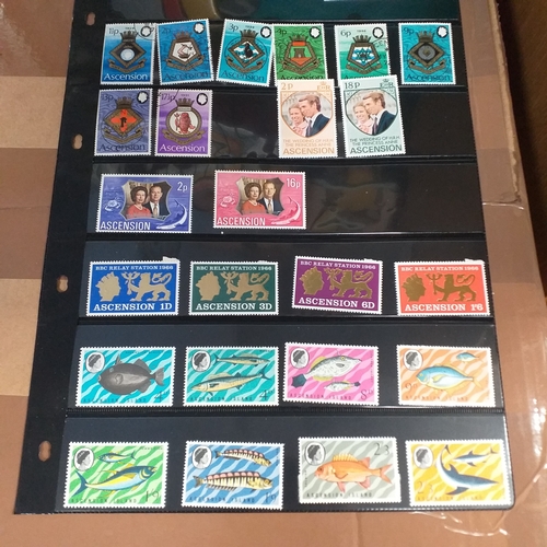 159 - Ascension Island mint used collection on 14+ stock cards / album pages, bulk of collection is QE2 in... 