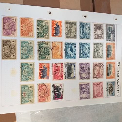 169 - Belgium colonies (Congo / Ruanda) mint and used on 14 album pages, will repay.