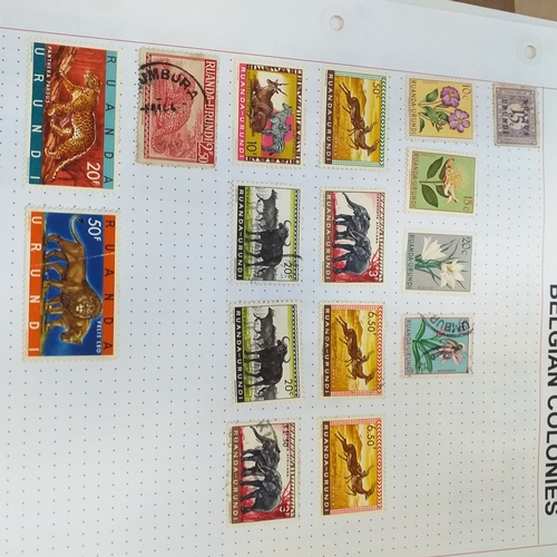 169 - Belgium colonies (Congo / Ruanda) mint and used on 14 album pages, will repay.