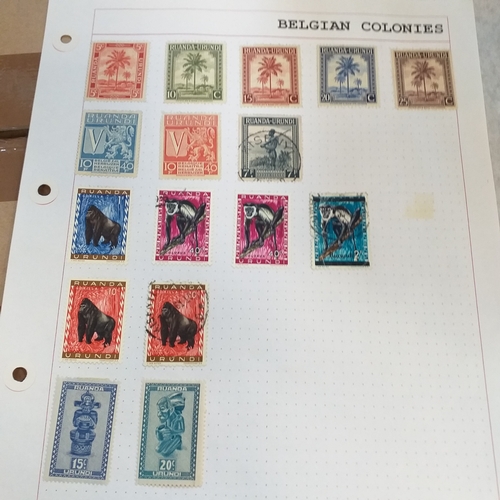 169 - Belgium colonies (Congo / Ruanda) mint and used on 14 album pages, will repay.