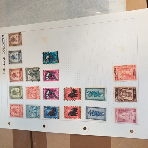 169 - Belgium colonies (Congo / Ruanda) mint and used on 14 album pages, will repay.