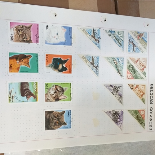 169 - Belgium colonies (Congo / Ruanda) mint and used on 14 album pages, will repay.