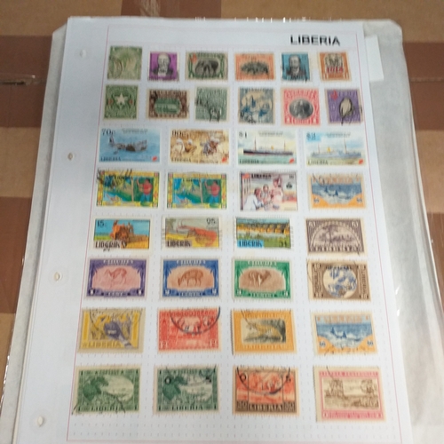 Lot 246       