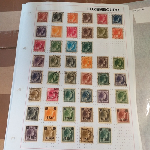 Lot 247       