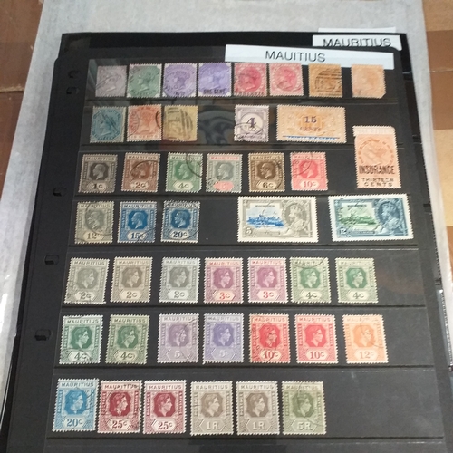 Lot 253       