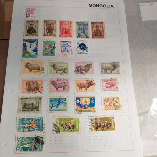 Lot 255       