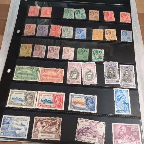 Lot 256       