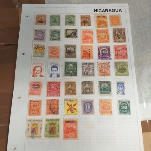 Lot 262       