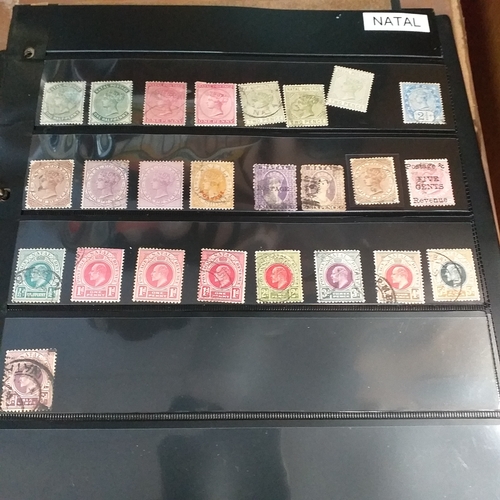279 - South and South West Africa collection, mint and used from early in a 2 ring binder.  Includes COGH,... 