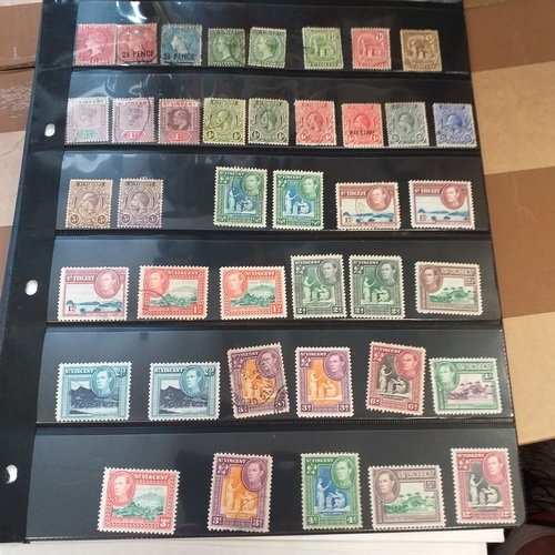Lot 284       