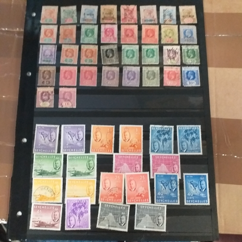 Lot 286       