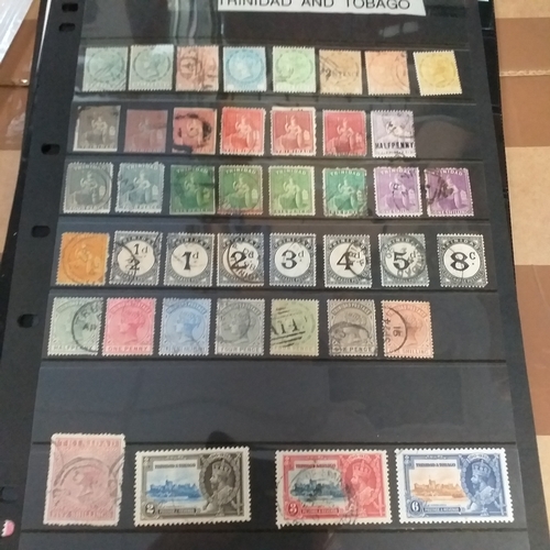 Lot 299       