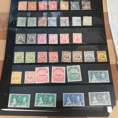 302 - Turks & Caicos Islands small collection on 10 album pages / stock cards, mint and used QV values to ... 