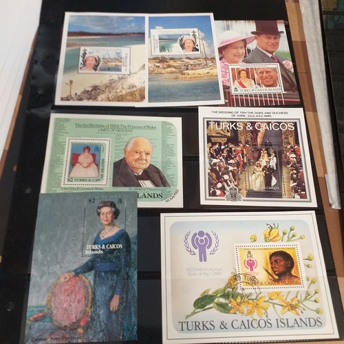 302 - Turks & Caicos Islands small collection on 10 album pages / stock cards, mint and used QV values to ... 