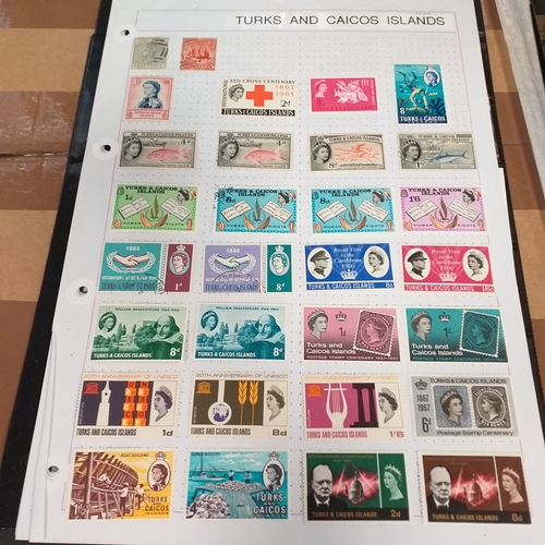 302 - Turks & Caicos Islands small collection on 10 album pages / stock cards, mint and used QV values to ... 