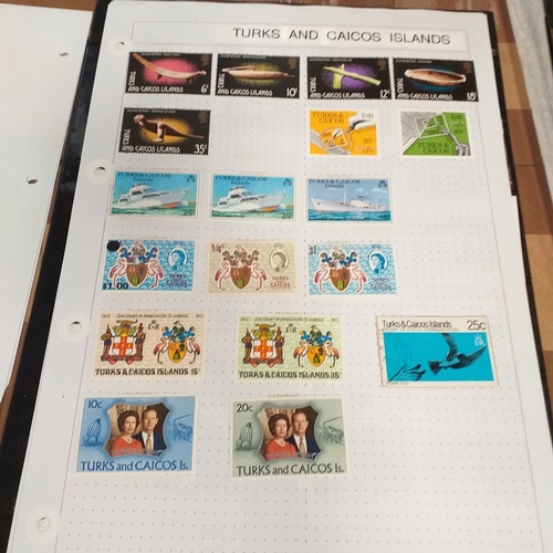 302 - Turks & Caicos Islands small collection on 10 album pages / stock cards, mint and used QV values to ... 