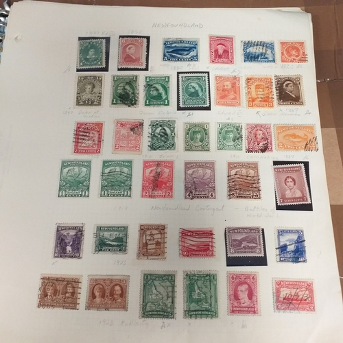 177 - Canada mint and used collection from early to 1971 on album pages and 1972 - 1996 approximately in a... 