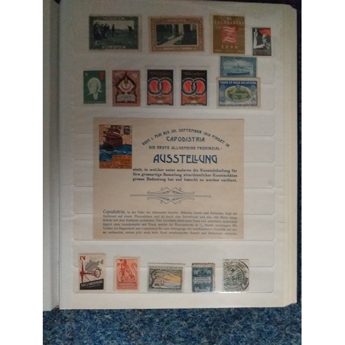 149 - Collection in 2 large stock books from around the World of Cinderella's, principally GB and Europe (... 