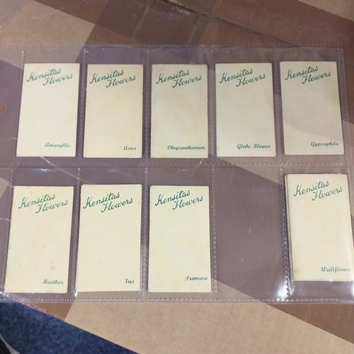 71 - 12 Kensitas Silk Flowers (9 different)