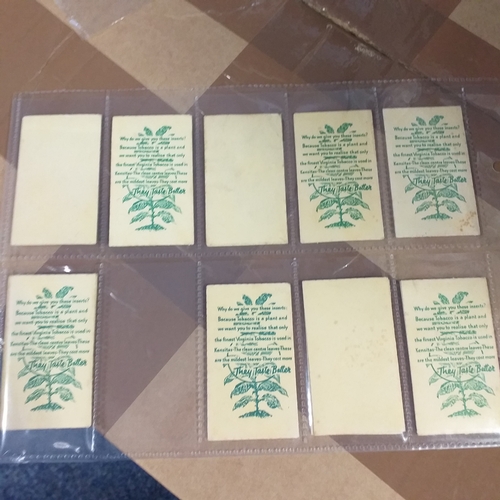 71 - 12 Kensitas Silk Flowers (9 different)