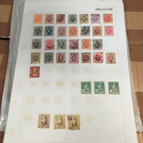 168 - Belgium substantial collection (many 100's) on 50+ pages approx, mint and used includes good selecti... 