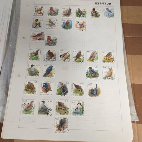 168 - Belgium substantial collection (many 100's) on 50+ pages approx, mint and used includes good selecti... 