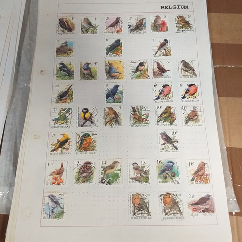 168 - Belgium substantial collection (many 100's) on 50+ pages approx, mint and used includes good selecti... 